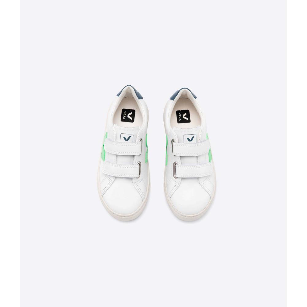 Veja ESPLAR LEATHER Kids' Sneakers White/Green | NZ 816EBC